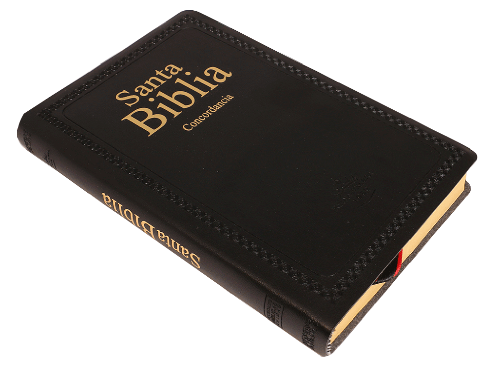 Biblia RVR1960, imit. piel suave negro, con concordancia, canto amarillo