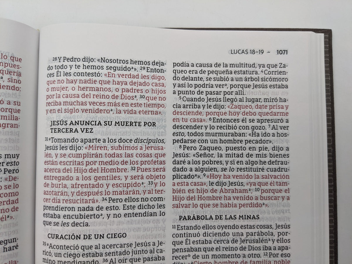 SANTA BIBLIA NBLA ULTRAFINA, LETRA GIGANTE, TAPA DURA/TELA, GRIS, EDICIÓN LETRA ROJA