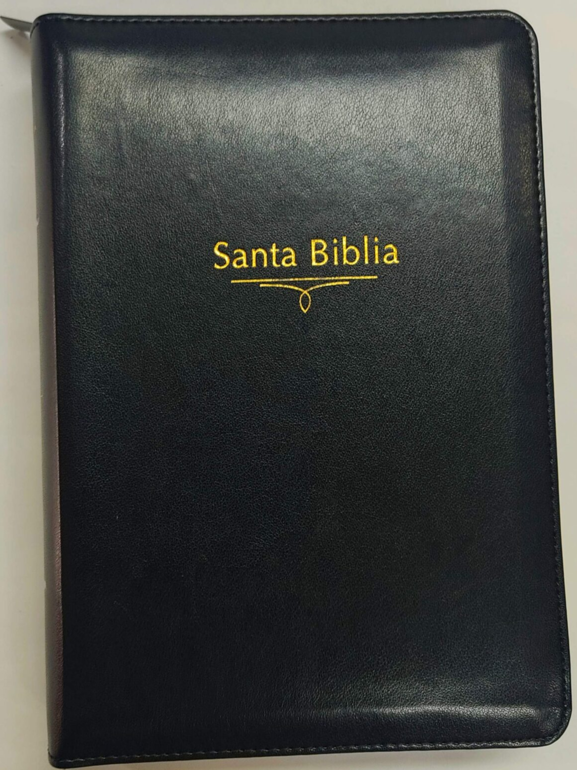 Biblia RVR 1960 Letra Gigante Negra, tamaño manual con referencias