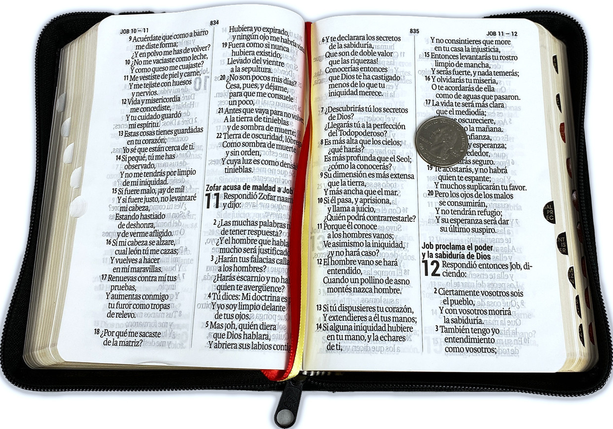 Biblia Tamaño Bolsillo Letra Grande