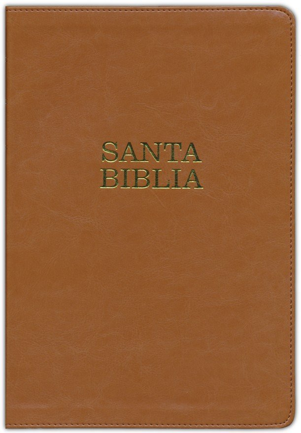 NTV Santa Biblia, letra súper gigante