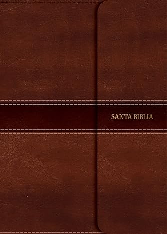 NVI Biblia Letra Grande Tamaño Manual marrón, símil piel con índice y solapa con imán