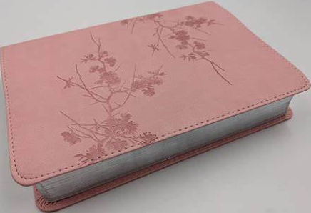 Biblia Serie 50 RVR60 i/piel Rosa