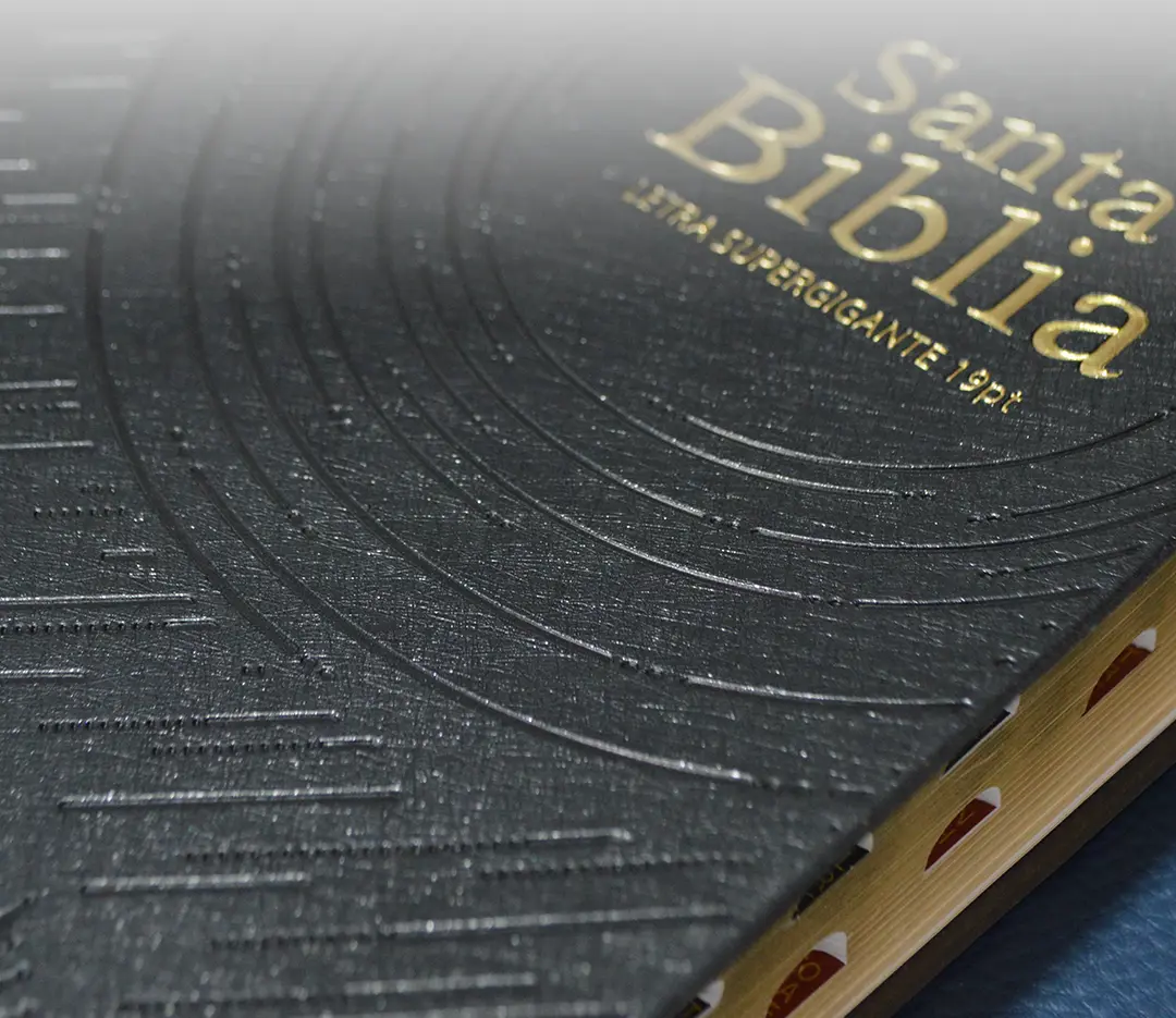 BIBLIA REINA VALERA VINILO EN NEGRO