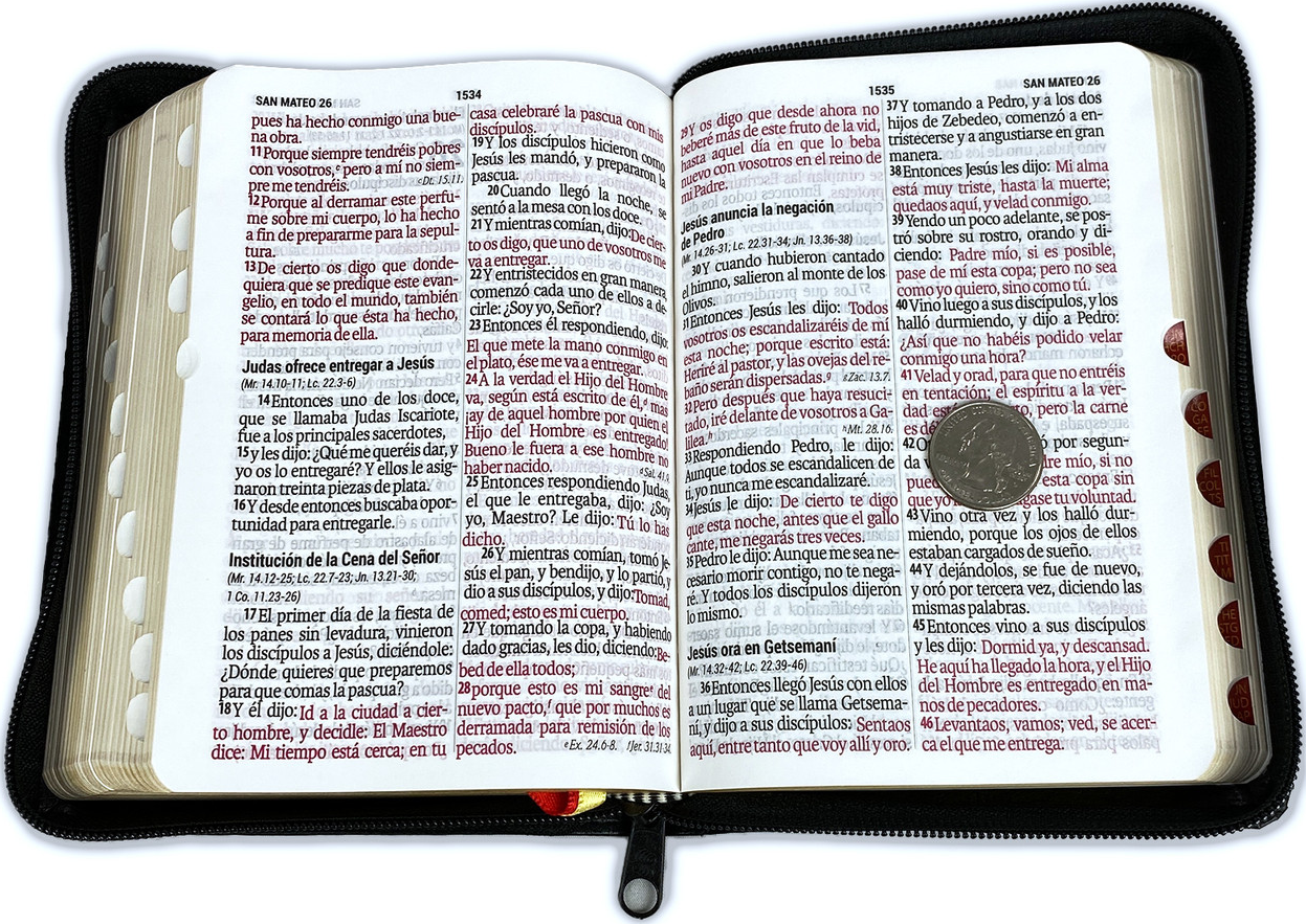 Biblia Tamaño Bolsillo Letra Grande