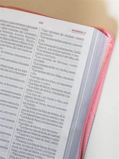 Biblia de Oraciones Rosa con Gris