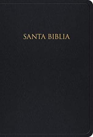 Biblia RVR 1960, Piel Imit. Negra