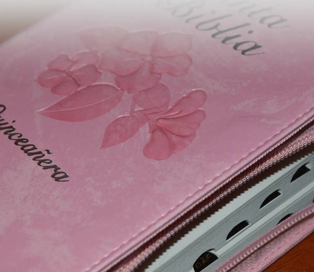 Biblia RVR60 Fuente de Bendiciones Quinceañera