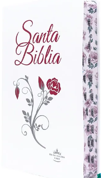 Biblia Blanca Canto Diseñado