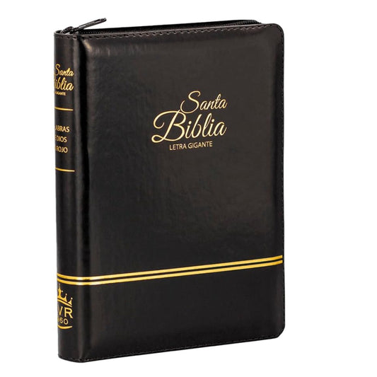 Santa Biblia Letra Grande Reina Valera 1960