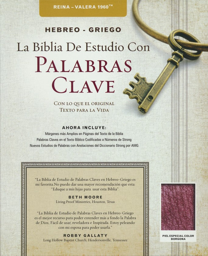 Biblia de Estudio Palabras Claves Hebreo-Griego, Piel Esp. Vino