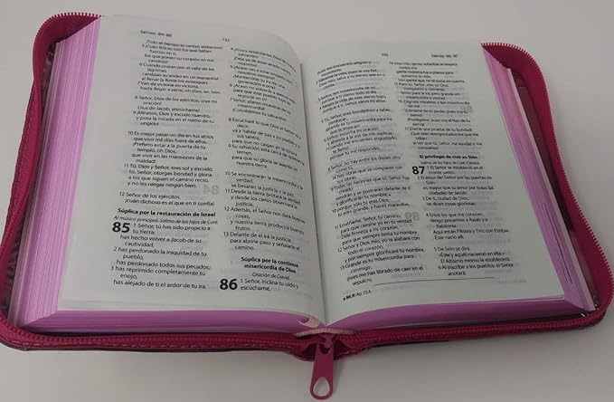 BIBLIA ILUSTRADA VALIENTES CON JESUS CON ZIPPER