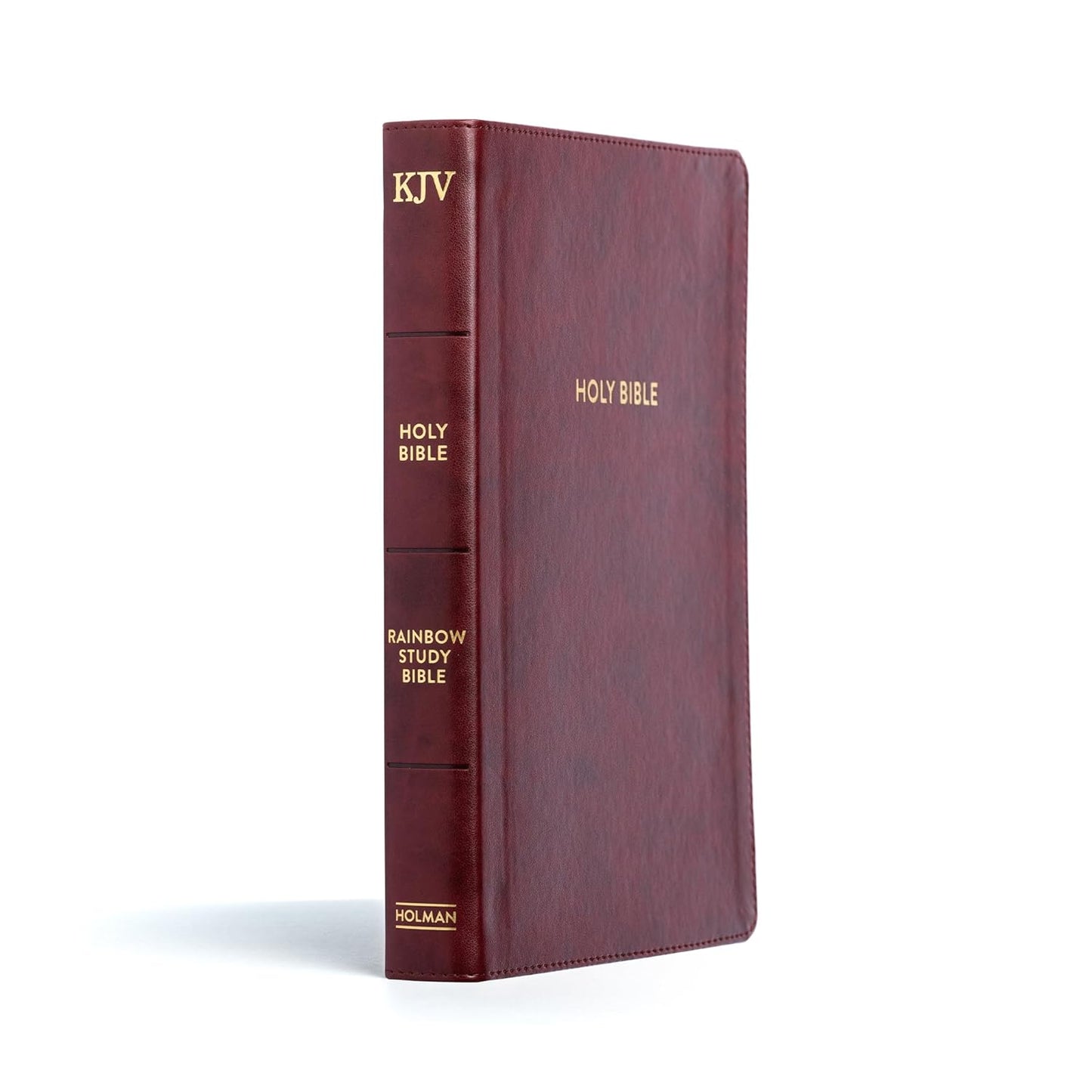 KJV Rainbow Study Bible, Burgundy LeatherTouch, Indexed