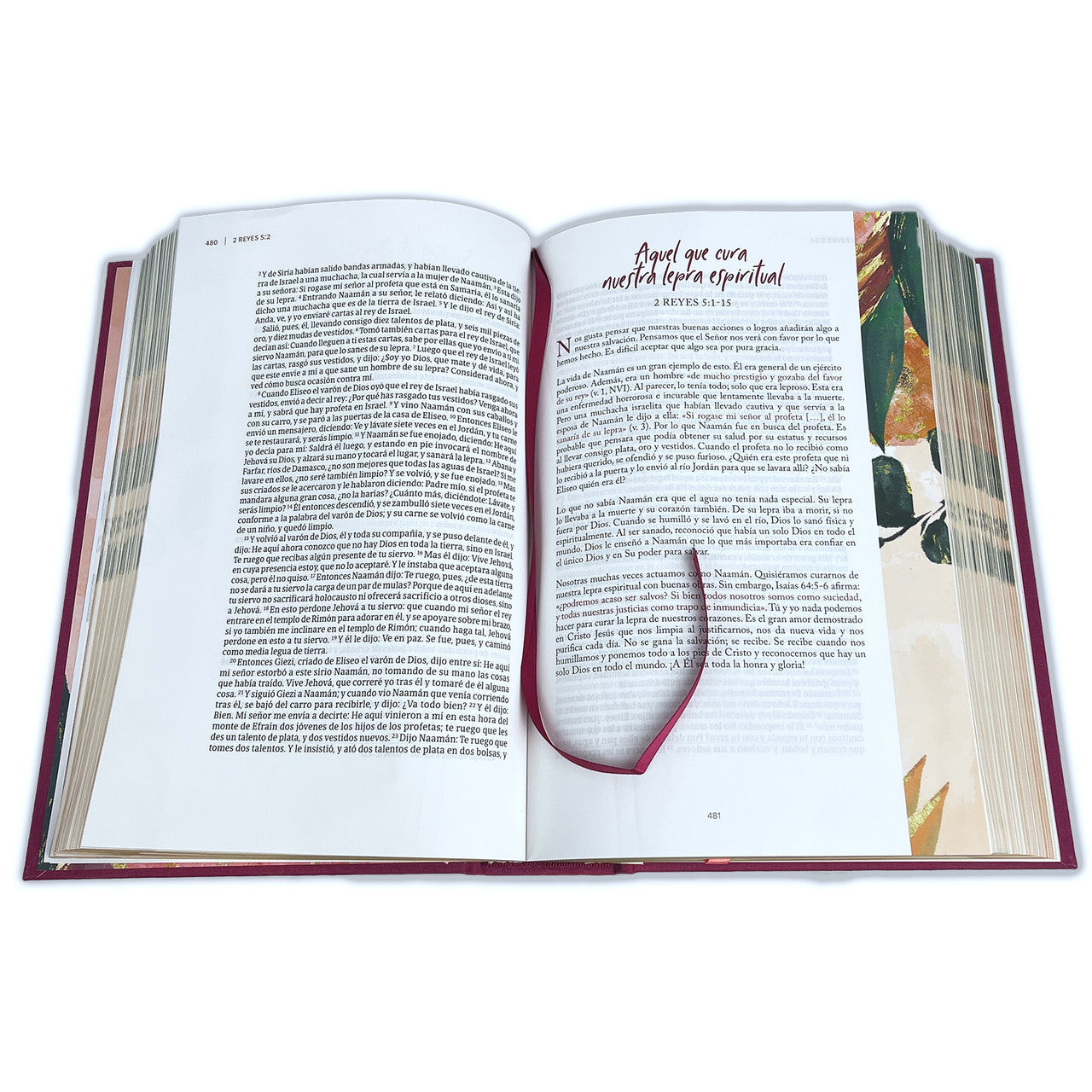 Biblia dev. para mujeres RVR 1960 centrada en Cristo