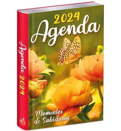 Agenda 2024 for women – Butterfly