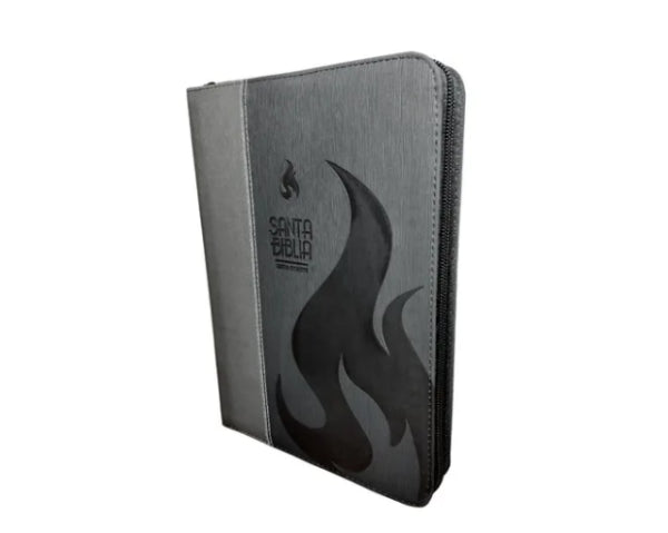 RVR1960 Biblia letra gigante Llama Gris