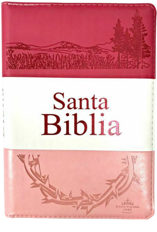 Biblia Letra Grande con Cierre RV1960, Tamaño Manual Imitación Piel, Rosa, con Indice