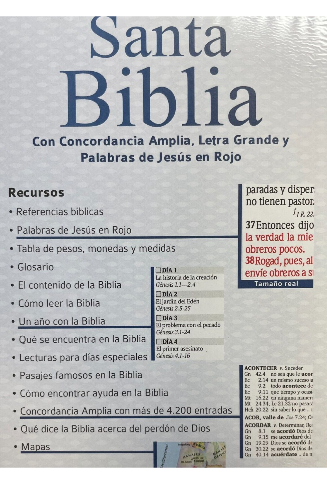 Biblia Letra Grande con Cierre RV1960, Tamaño Manual Imitación Piel, Rosa, con Indice