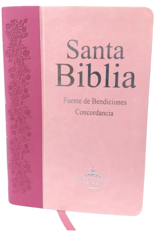 Santa Biblia RV1960 Fuente de Bendiciones de Promesas, Compacta Pequeña y Concordancia, Imitación Piel, Duo Tono Rosa y Fucsia, con Indice