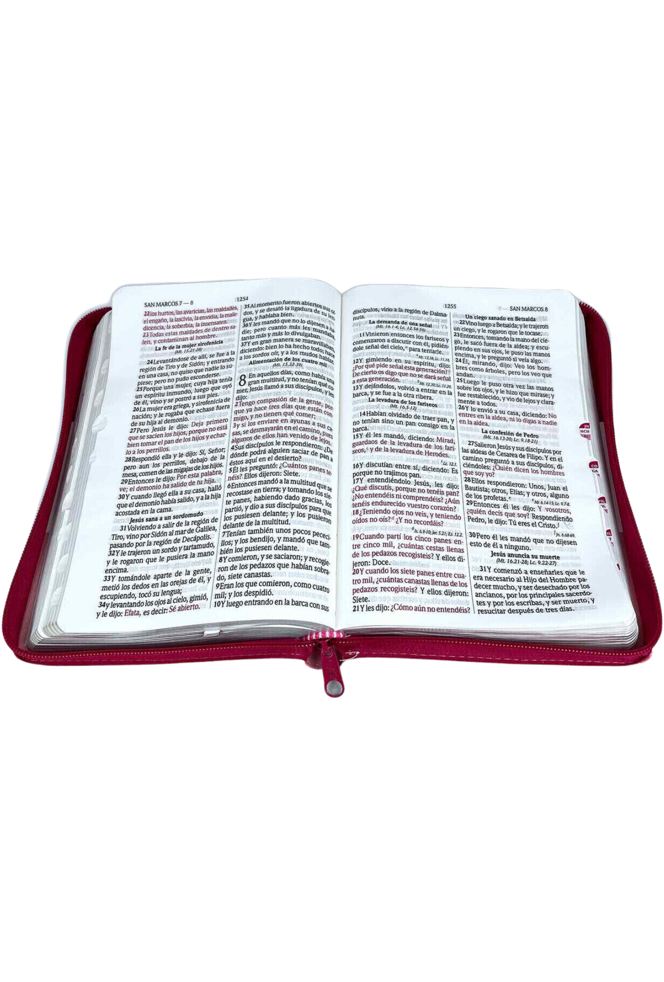 Biblia Letra Grande con Cierre RV1960, Tamaño Manual Imitación Piel, Rosa, con Indice