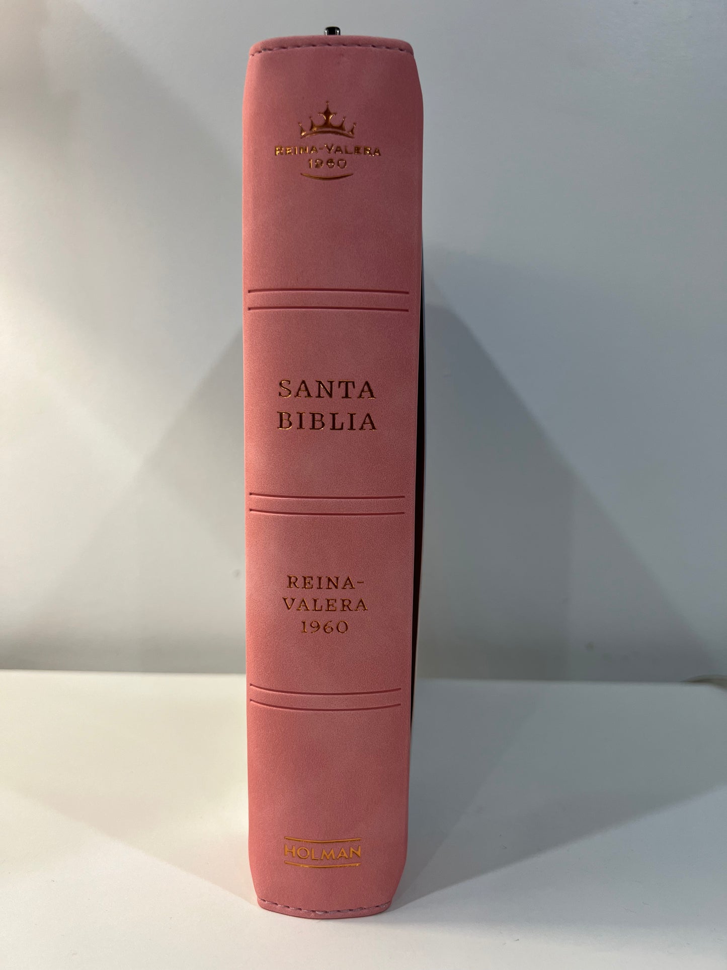 Biblia Letra Gigante Tamano Manual con Referencias RVR 1960 Con Cierre