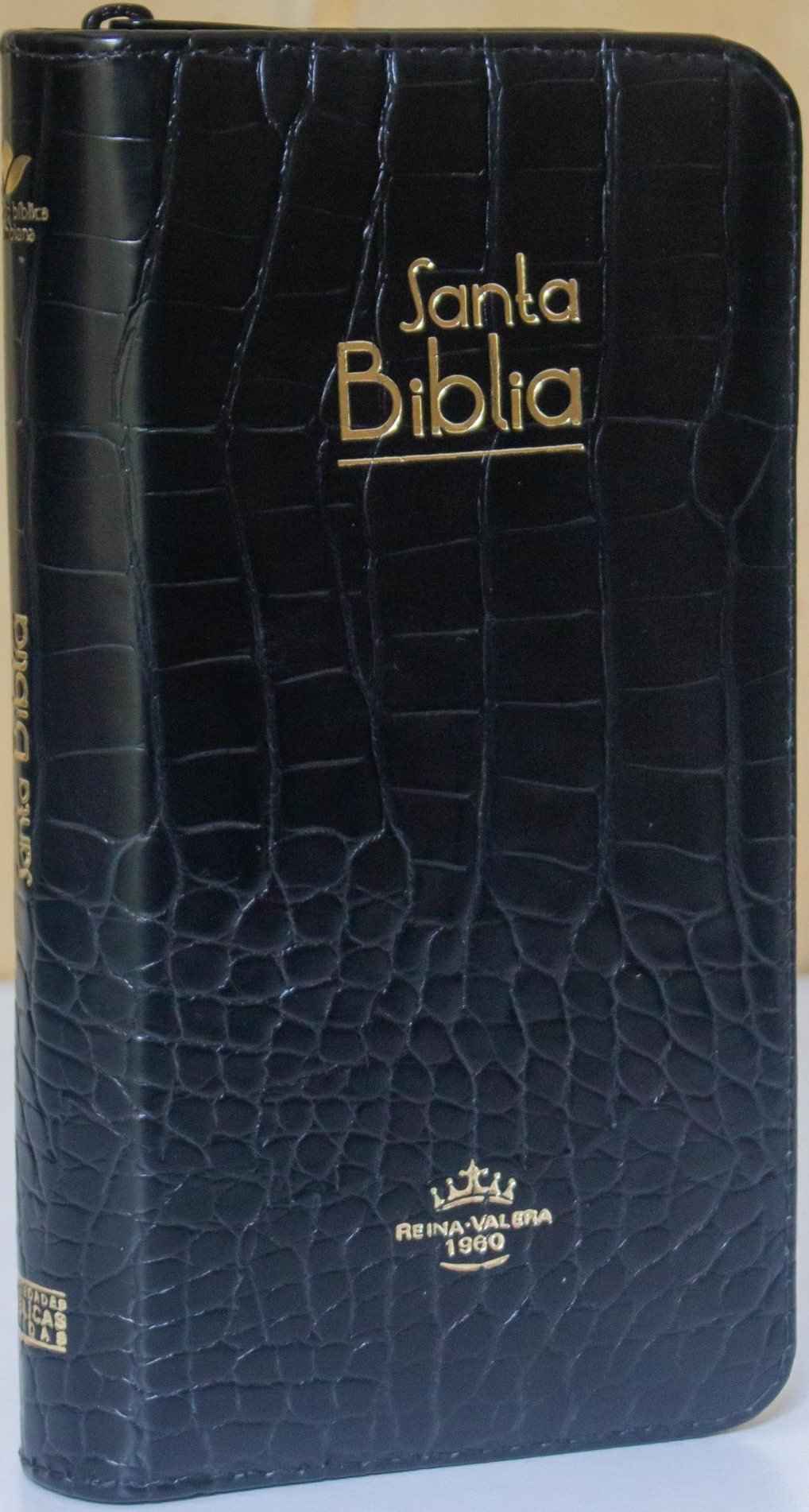 BIBLIA RVR60PJR NEGRO CANTO DORADO