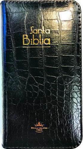 BIBLIA RVR60PJR NEGRO CANTO DORADO