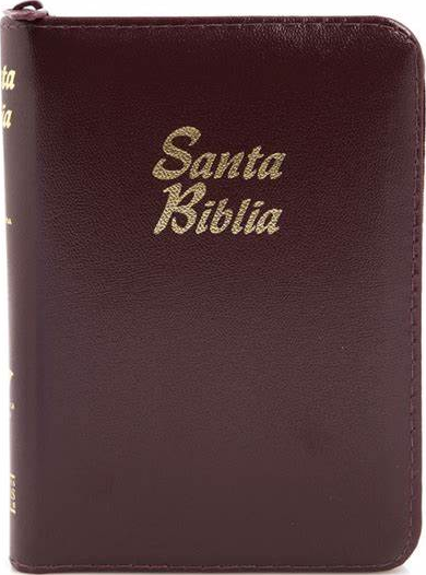 Biblia Reina Valera 1960 Compacta