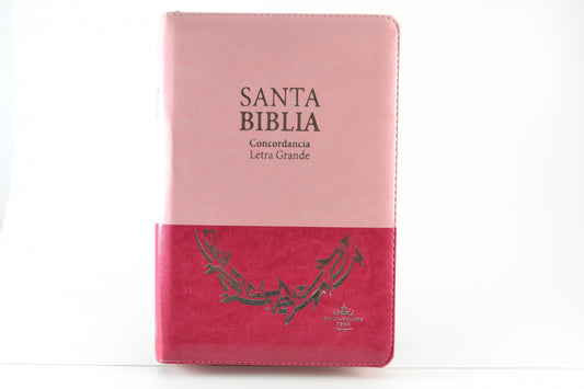SANTA BIBLIA - LETRA GRANDE CONCORDANCIA